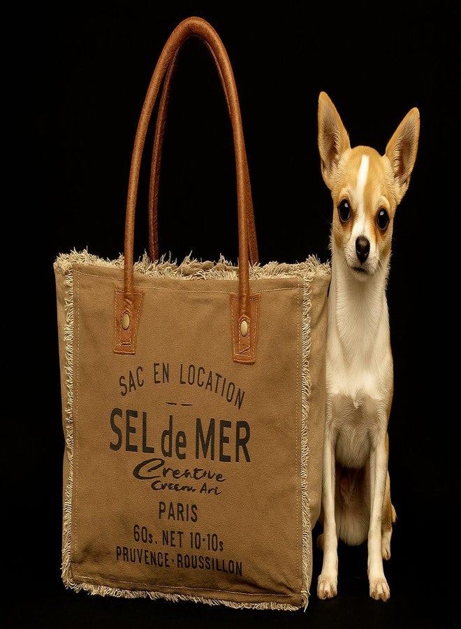 CREATIVE LEATHER ART حقيبة تسوق قماشية من Sel de Mer للنساء بمقابض جلدية، حقيبة كتف، حقيبة يد يومية عادية، للشاطئ، للسفر، حقيبة تسوق (كاكي، 13 × 10 بوصة) - Image 5