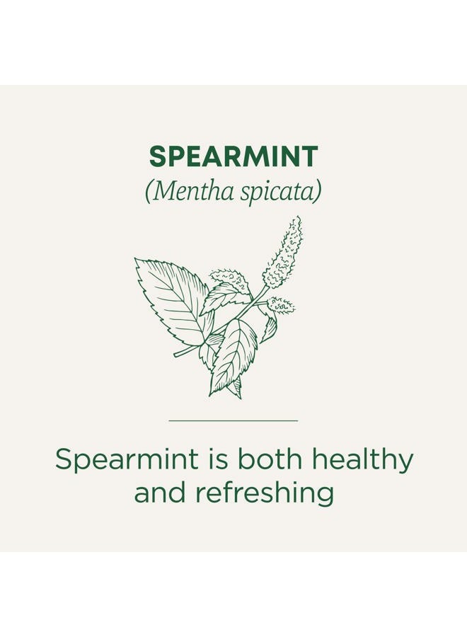 Traditional Medicinals Tea, Organic Spearmint, Supports Everyday Wellness, Healthy & Refreshing, 16 Tea Bags - Image 2