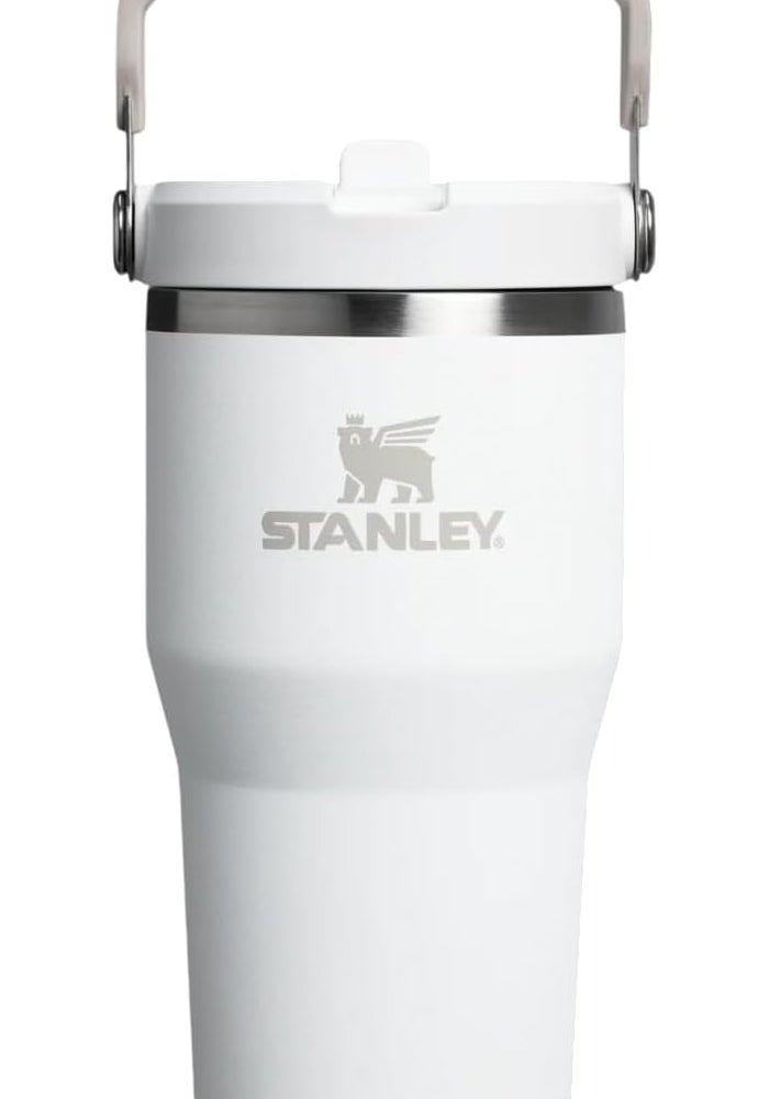Stanley ستانلي آيس فلو جو 600مل/20أونصة زجاجة ماء بقشة قابلة للطي - فروست - Image 1