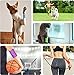 Lenicany 12Pack 2 x 5 Yards Self Adhesive Bandage Wrap Elastic Self Breathable Self Adherent Wrap for Pets Athletic Cohesive Bandage for First Aid - Image 4