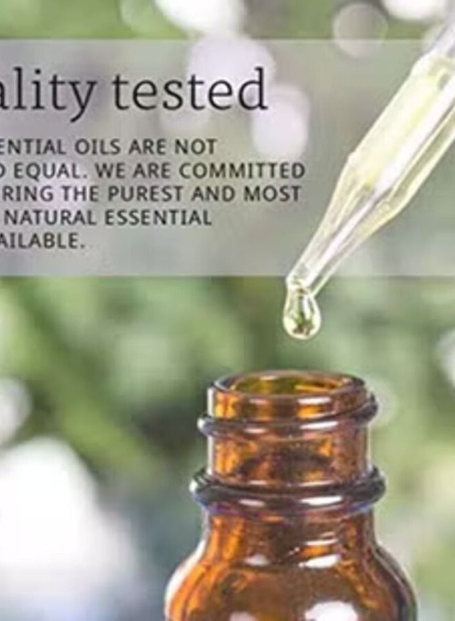 Max 2 bottles of pure rosemary essential oil - Image 2
