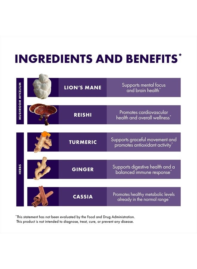 Host Defense MycoBotanicals Brain & Body* Powder - Digestive & Immune Support Supplement with Lion's Mane & Reishi Mushroom - Brain Supplement to Support Memory & Focus - 3.5 oz (33 Servings)* - Image 4
