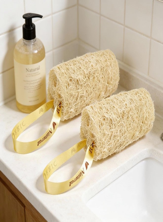 ORRIC Natural Loofah short (4"-5") Scrub Sponge | Natural Body Scrubber for Bathing | Organic Ridge Gourd Fiber Natural sun dried bath Loofah | Peerkangai naaru | Turai Beerakaya Hirekai (Pack of 1) - Image 2