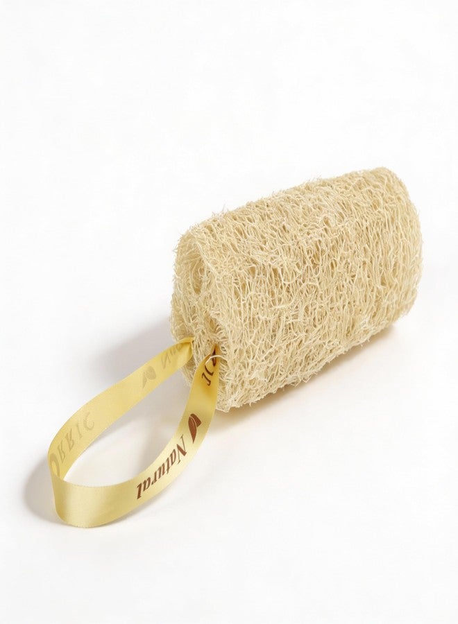 ORRIC Natural Loofah short (4"-5") Scrub Sponge | Natural Body Scrubber for Bathing | Organic Ridge Gourd Fiber Natural sun dried bath Loofah | Peerkangai naaru | Turai Beerakaya Hirekai (Pack of 1) - Image 1
