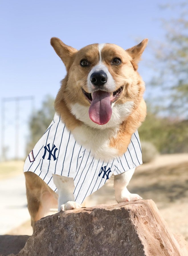 Pets First Official MLB New York Yankees Pet Jersey for Dogs & Cats, Size Small - Stylish Baseball Jersey for Your Furry Fan- Show Off Team Spirit with The Perfect Fan Apparel Gear for Pet, Dog & Cat - Image 4