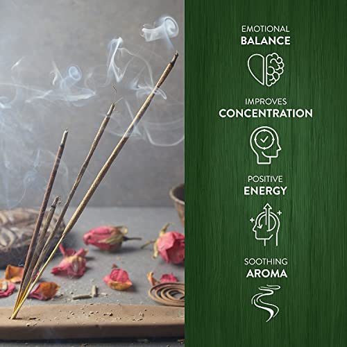 Hem Eucalyptus for Cleansing & Relaxing Incense Sticks - Pack of 6 (20 Sticks Each) - Image 3