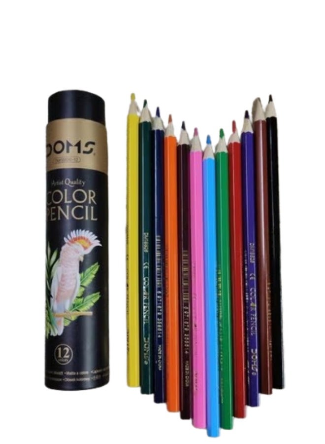 دومس أقلام تلوين طويلة بـ ١٢ لونًا - تصميم أنيق في علبة كرتونية مميزة للأطفال والمبدعين - Image 1