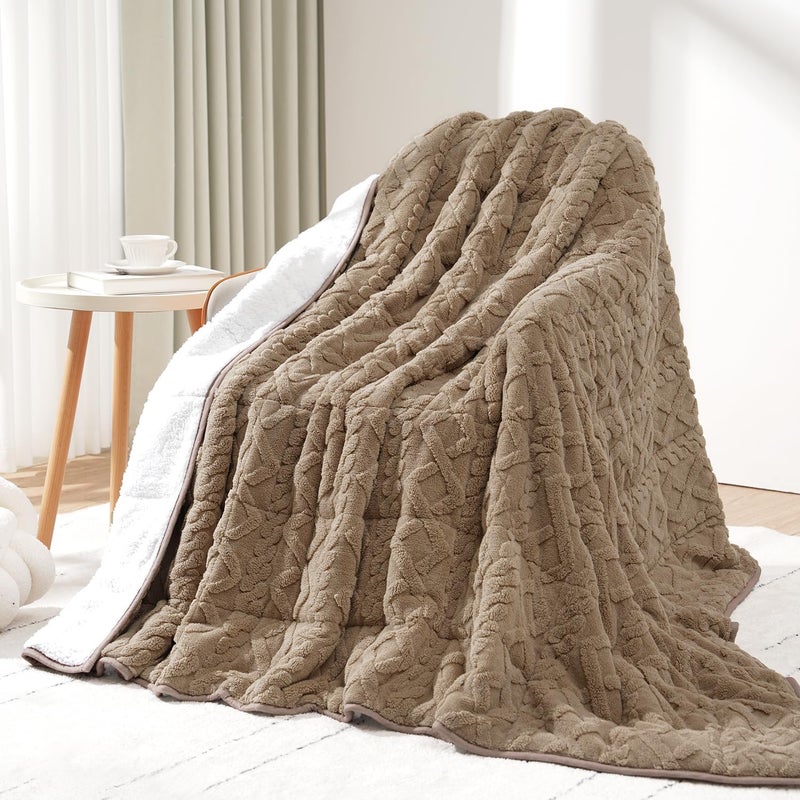 Drewin Queen Size 15lbs Weighted Blanket for Adults, Soft Cozy Turtleback Sherpa Weighted Blankets for Sleeping and Calming, Thick Bed Blanket for Couch Bed, 48 x 72 inches, Brownish White - Image 1