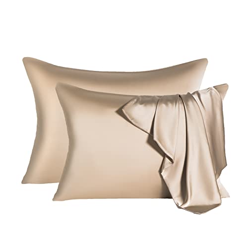 2 Pcs Mulberry Silk Pillowcase for Hair and SkinCooling Silk Pillow Case with Hidden ZipperAllergen Proof Dual Sides Soft Breathable Smooth Silk Pillow Cover for WomenQueen2PCSChampagne