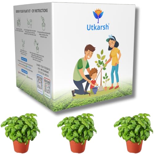 Utkarsh Italian Basil Seed Starter DIY Grow Kit for Gifting | Best Eco-Friendly Return Gift Ideas for Kids & Beginners | Easy to Grow it Yourself Gardening Set for Home & Kitchen Garden | Pack of 1 - Image 1