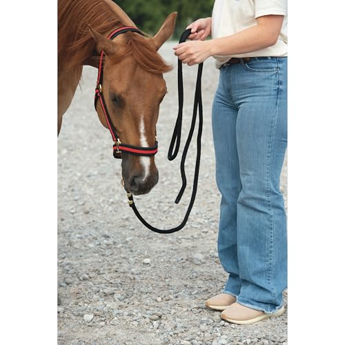 Weaver Leather Poly Lead Rope , Black - Image 3