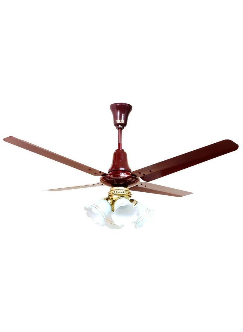 Oshar OSHA ceiling fan with 4 lights