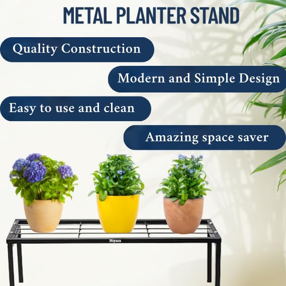 Niyara || Metal Planter Stand || Flower Pot Stand for Planters || Plant Stand Indoor | (Long 61 cm/ 24 inches, Set of 2, Height 8 inch) - Image 3