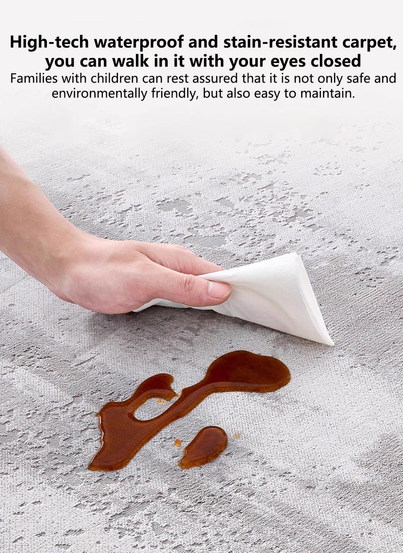 GOOTOY 3D Soft Carpet Living Room Waterproof Area Rug, Non-Slip Backing Washable Floor Mat, Anti-Fouling Large Rugs, Home Decoration Carpets  Neutral Gray Tone Dirt-Resistant 200*290CM - Image 3