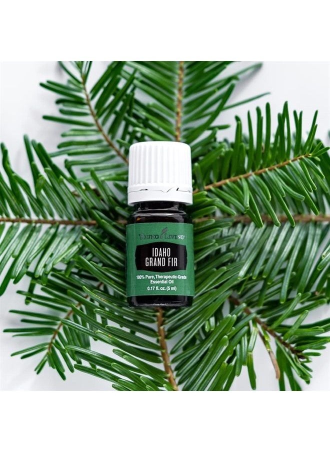 Idaho Grand Fir Essential Oil - 5 ml - pzsku/Z20479AB22410BE955D03Z/45/_/1683618351/812e24fe-bf77-4d61-8a9f-5a06ba6fce55