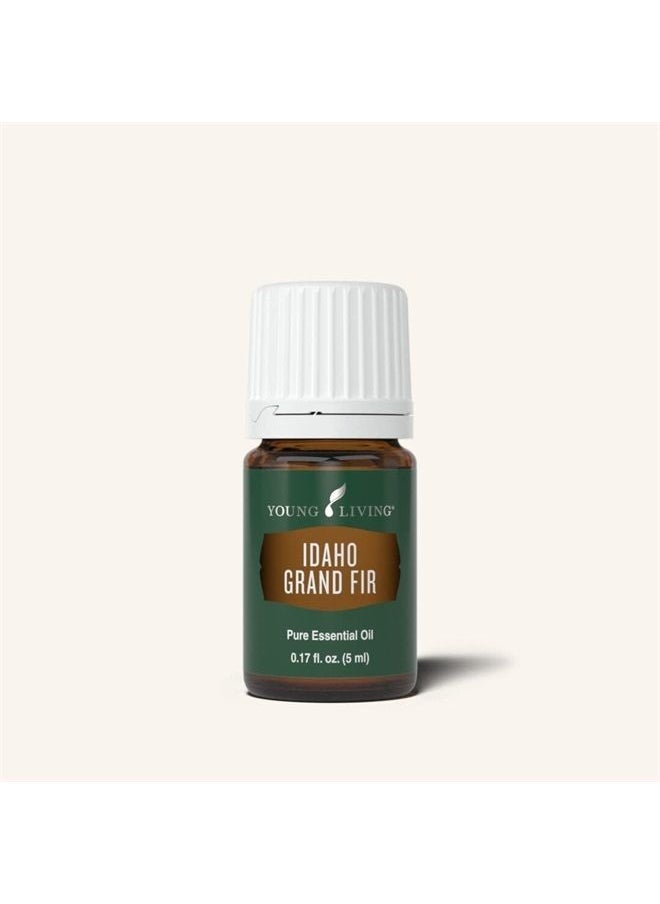 Idaho Grand Fir Essential Oil - 5 ml - pzsku/Z20479AB22410BE955D03Z/45/_/1683618357/dd8eb30e-d3f4-42d8-94f8-35482d1f9eb9