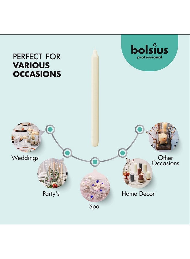 BOLSIUS BOLSIUS Ivory Candlesticks Bulk Pack 50 Count - Unscented Dripless 11.5 Inch Household & Dinner Candle Set - 12+ Hours - Premium European Quality - Consistent Smokeless Flame - 100% Cotton Wick  - Image 3