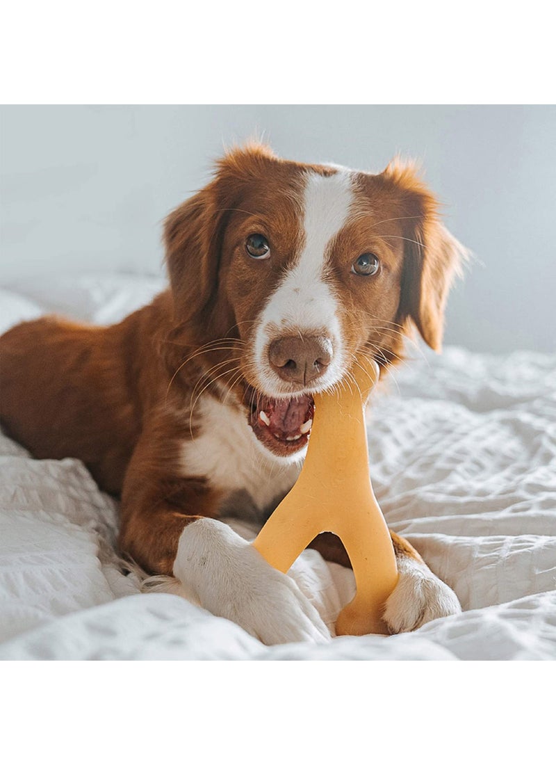 Benebone Wishbone Dog Chew Toy Chicken - Image 3