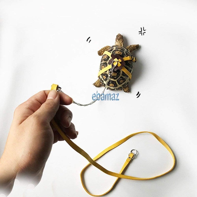 ebamaz Leather Harness Strap for Tortoise/Turtle Pet Walking Lead Control Rope Chest Collar (M) - Image 5