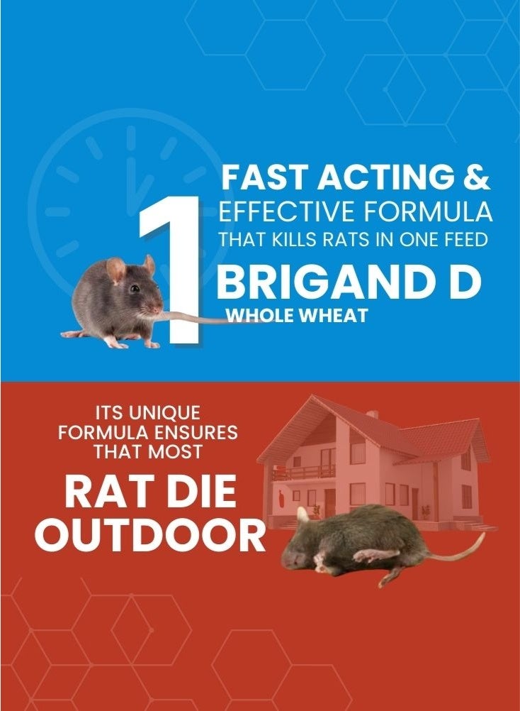 PelGar Brigand D Whole Wheat Rat Killer Bait – Powerful Rodent Control Grain Formula for Rats & Mice, Ready-to-Use Wheat-Based Poison Bait for Home, Warehouse, Farm & Commercial Pest Control Use 100g - Image 2