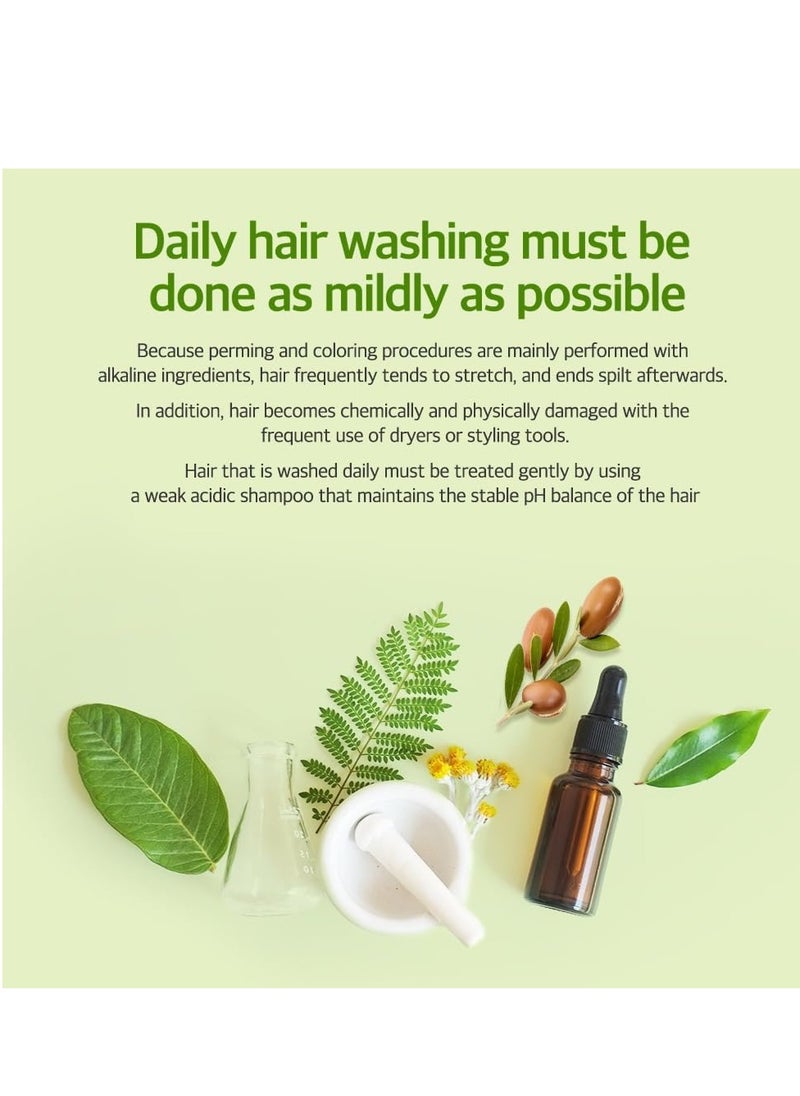 Kerasys Kerasys Argan Oil Real Nature for Extremely Damaged Hair 33.8 fl oz / 1L (Treatment, 1-Pack)  - Image 3