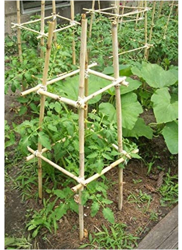 LINGWEI - Natural Thick Bamboo Stakes Tall Garden Plant Stakes Flowers Vine Plants Support Garden Canes Poles Stakes 4pcs - Image 1