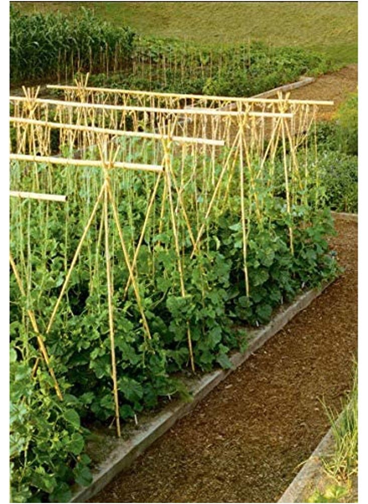 LINGWEI - Natural Thick Bamboo Stakes Tall Garden Plant Stakes Flowers Vine Plants Support Garden Canes Poles Stakes 4pcs - Image 1