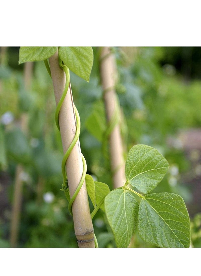 LINGWEI - Natural Thick Bamboo Stakes Tall Garden Plant Stakes Flowers Vine Plants Support Garden Canes Poles Stakes 4pcs - Image 1