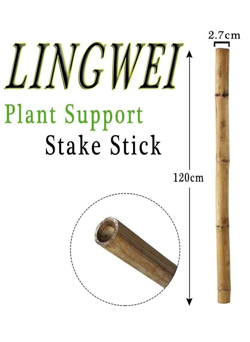 LINGWEI - Natural Thick Bamboo Stakes Tall Garden Plant Stakes Flowers Vine Plants Support Garden Canes Poles Stakes 4pcs - Image 1