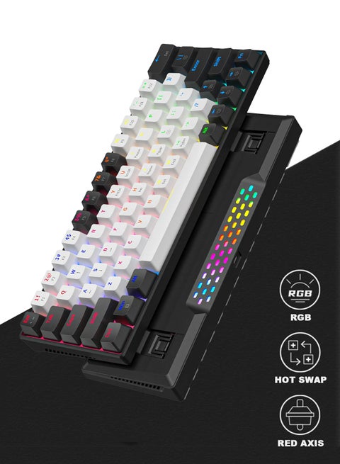 60% Wired Gaming Keyboard, Small 20 RGB Backlit Membrane Gaming Keyboard, Ultra-Compact Mini Waterproof Keyboard for PC/Mac/Laptop/Wins, Easy to Carry on Business Trip, White and Black