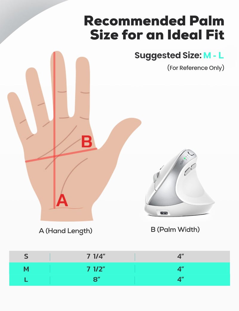 Nulea MD280 Ergonomic Vertical Wireless Mouse - Bluetooth & 2.4G Dual Mode, 4 Adjustable DPI 800/1200/1600/2400, Rechargeable, Silent Clicks, No Lag, 6 Buttons - Perfect for Laptop, Desktop White - Image 2