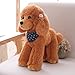 OPHRBU Poodle Plush Toys Soft and Cute Poodle Plush Toys Pillows Cushions The Best Gift for Your Family and Friends 1 pc Yellow 12 inches - Image 2