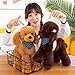 OPHRBU Poodle Plush Toys Soft and Cute Poodle Plush Toys Pillows Cushions The Best Gift for Your Family and Friends 1 pc Yellow 12 inches - Image 4