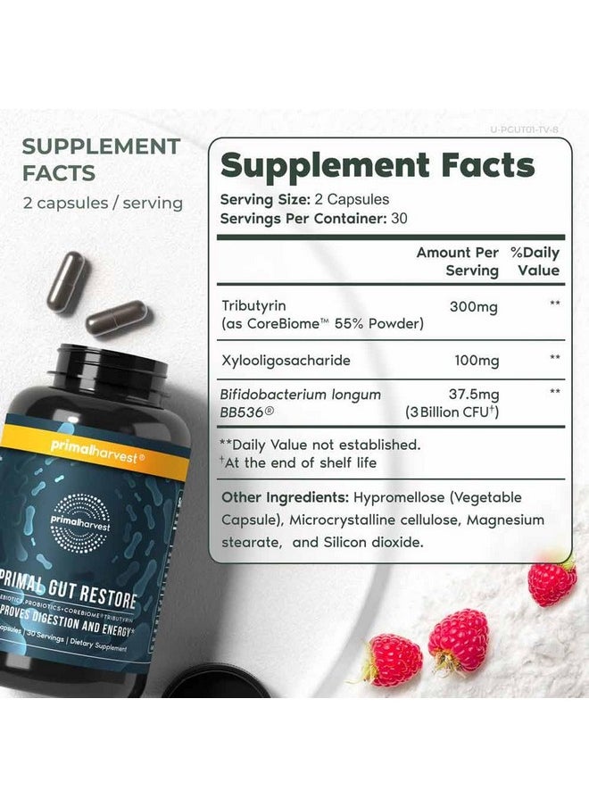 Primal Harvest Primal Harvest 2 Pack, Restore for Gut Health, Primal Gut Restore w/POSTbiotics, PREbiotics and PRObiotics for Women and Men, 60 CT - Digestion, Colon Cleanse, Helps Leaky Gut Repair  - Image 2