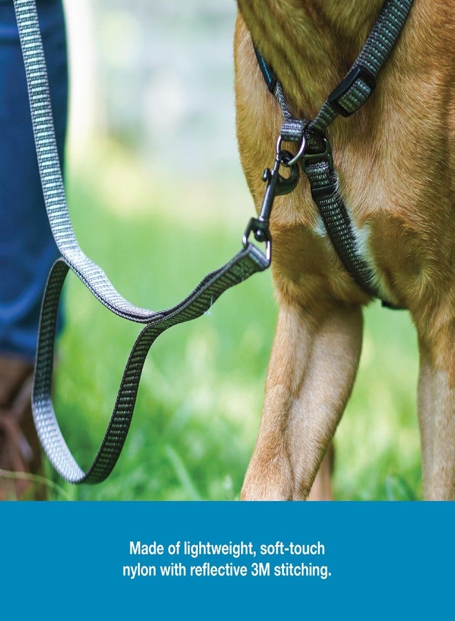 Blue-9 Reflective Dog Leash, Multi-Function 6 Foot Adjustable Lead with Traffic Loop and 3M Reflective Stitching for Obedience, Running, and Agility Training, Made in The USA, Medium/Large, Grey - Image 5