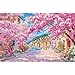 Blueforest Cinque Terre Cherry Blossom Street 1000 Piece Puzzle for Adults Fun Spring Puzzles for Adults 1000 Pieces with HD Print Poster 275 X 197 Dust Free for Gifts Halloween Christmas Family Games - Image 2