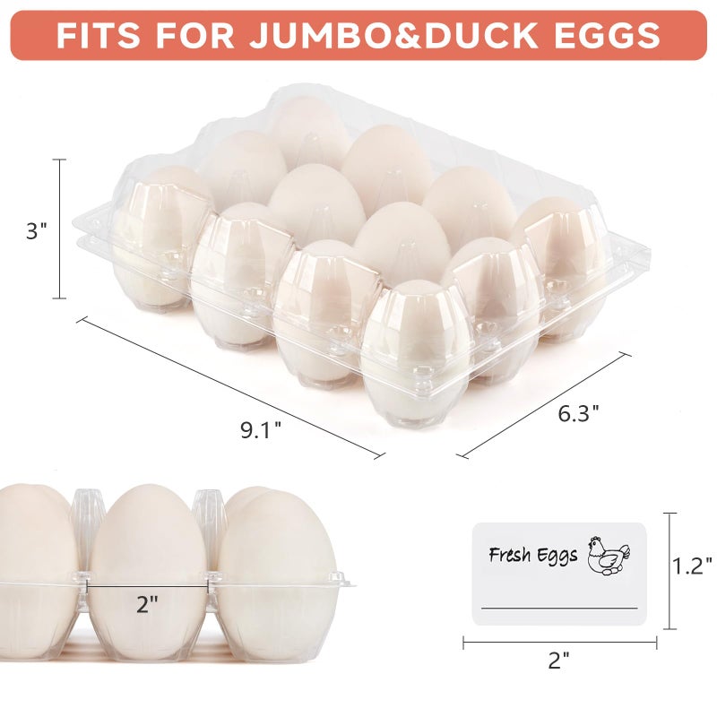 YIFIHGE 60 Pack Egg Cartons Cheap Bulk 1 Dozen Jumbo Egg Cartons Extra Large Duck Egg Holders with Sticker Labels Clear Empty Plastic Egg Containers for Home Ranch Farm Commercial Market Display - Image 2