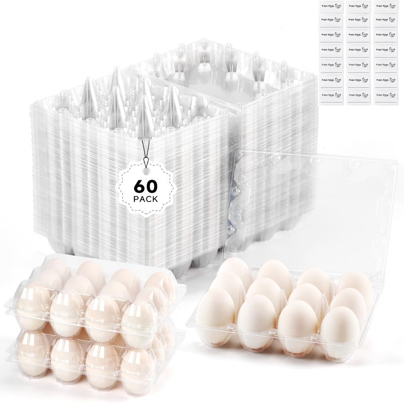 YIFIHGE 60 Pack Egg Cartons Cheap Bulk 1 Dozen Jumbo Egg Cartons Extra Large Duck Egg Holders with Sticker Labels Clear Empty Plastic Egg Containers for Home Ranch Farm Commercial Market Display - Image 1