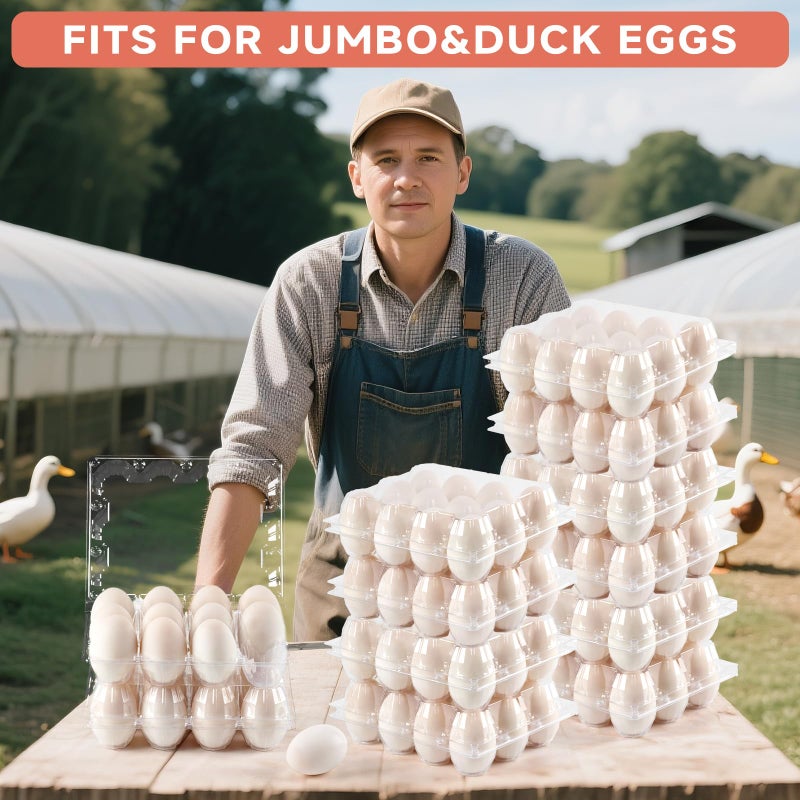 YIFIHGE 60 Pack Egg Cartons Cheap Bulk 1 Dozen Jumbo Egg Cartons Extra Large Duck Egg Holders with Sticker Labels Clear Empty Plastic Egg Containers for Home Ranch Farm Commercial Market Display - Image 3