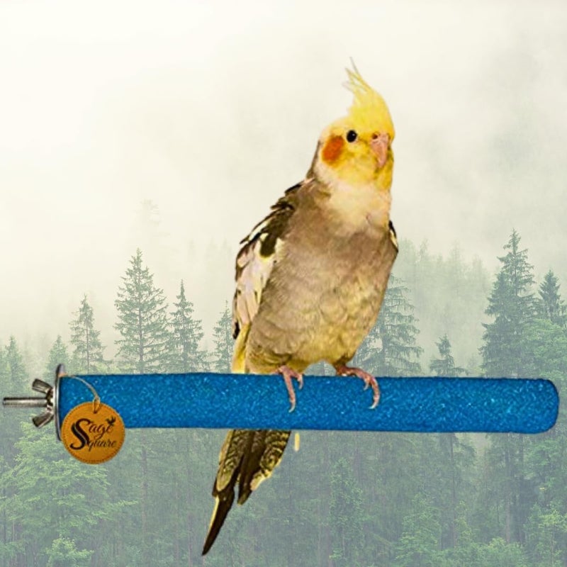 Sage Square مجموعة من 2 قاعدة خشبية طبيعية للطيور (خفيفة الوزن) (الحجم - 8 بوصات) - Image 1