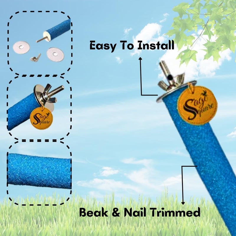 Sage Square مجموعة من 2 قاعدة خشبية طبيعية للطيور (خفيفة الوزن) (الحجم - 8 بوصات) - Image 3