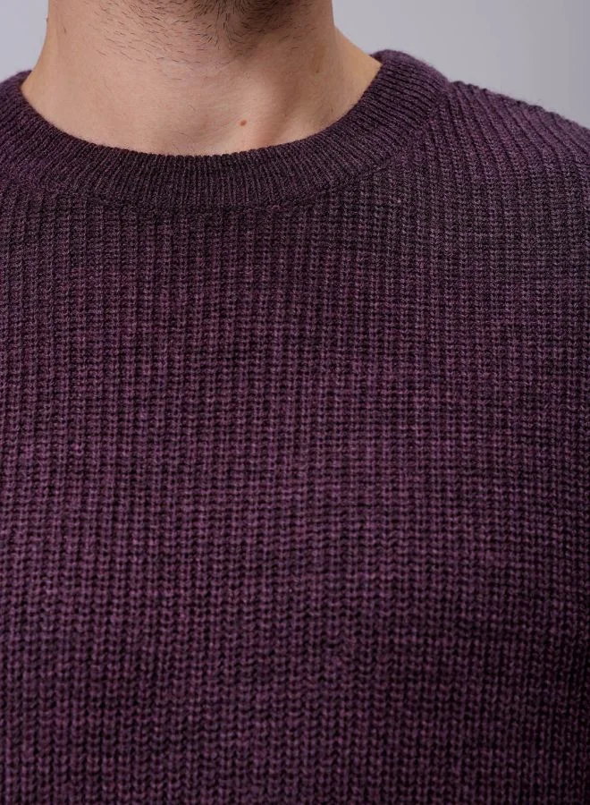 The Indian Garage Co Men Oversized Solid Crew Neck Sweater