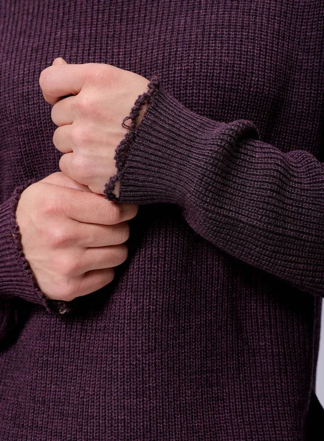 The Indian Garage Co Men Oversized Solid Crew Neck Sweater