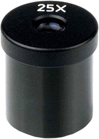 AmScope EP25X20S One WF25X Microscope Eyepiece 20mm - pzsku/Z2055FDBC654FB11D0126Z/45/1747233994/4de9404b-f55c-46c8-b246-50832c6869df