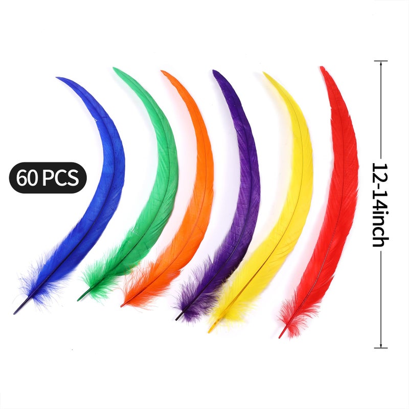 Holmgren Colorful Rooster Tail Feathers - 60Pcs 12-14Inch Natural Long Rooster Tail Feathers Bulk For Diy Crafts Hats Costume  Holiday Themed Party Decoration (Colorful) - Image 4