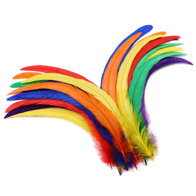 Holmgren Colorful Rooster Tail Feathers - 60Pcs 12-14Inch Natural Long Rooster Tail Feathers Bulk For Diy Crafts Hats Costume  Holiday Themed Party Decoration (Colorful) - Image 1