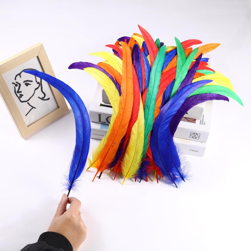 Holmgren Colorful Rooster Tail Feathers - 60Pcs 12-14Inch Natural Long Rooster Tail Feathers Bulk For Diy Crafts Hats Costume  Holiday Themed Party Decoration (Colorful) - Image 3