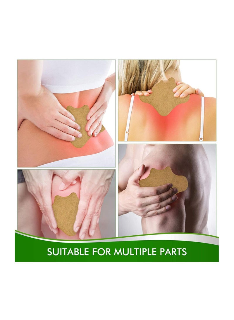 SaluVera SaluVera 10Pcs/Box Pain Lumbar Vertebra Patches Herbal Extract  - Image 3