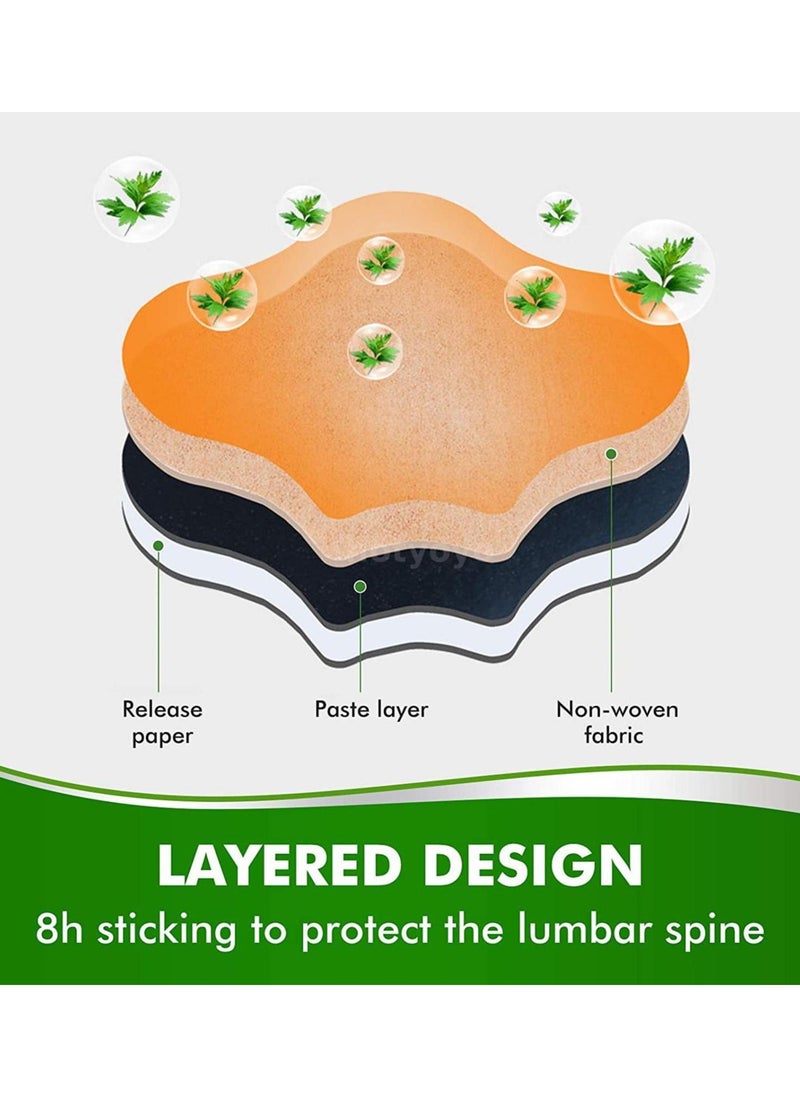 SaluVera SaluVera 10Pcs/Box Pain Lumbar Vertebra Patches Herbal Extract  - Image 2