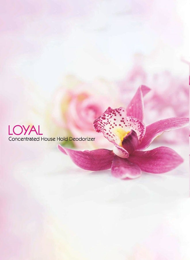 loyal Multi-Purpose Household Deodorizer Concentrated Gel Musk Amber 2x700ml - Image 3